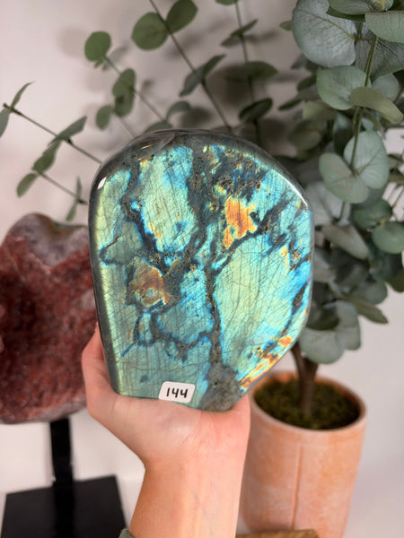 Labradorite Free Form - 144