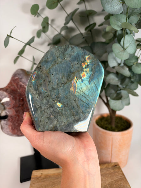 Labradorite Free Form - 144