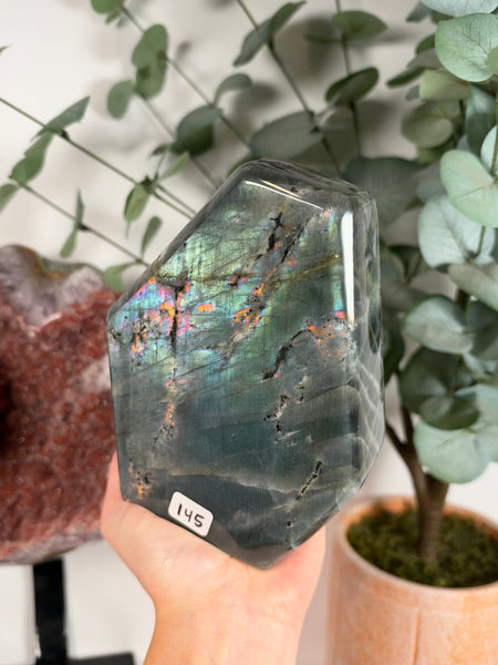 Labradorite Free Form - 145
