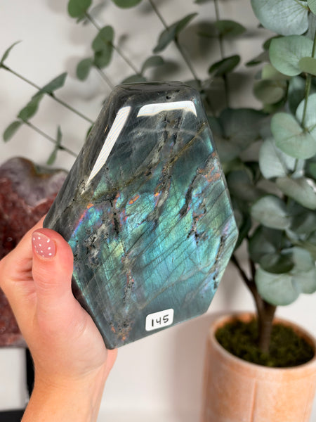 Labradorite Free Form - 145