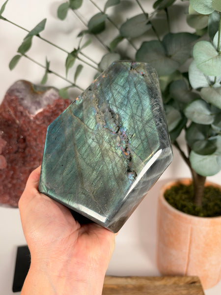 Labradorite Free Form - 145