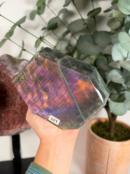 Labradorite Free Form - 147