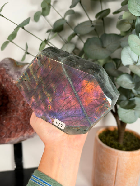 Labradorite Free Form - 147