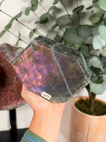 Labradorite Free Form - 147