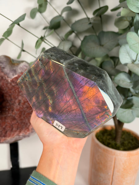 Labradorite Free Form - 147