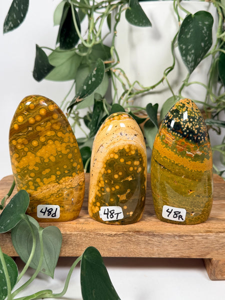 Kabamby Ocean Jasper Free Forms - you pick