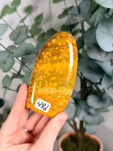 Kabamby Ocean Jasper Free Forms - you pick