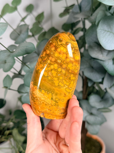 Kabamby Ocean Jasper Free Forms - you pick
