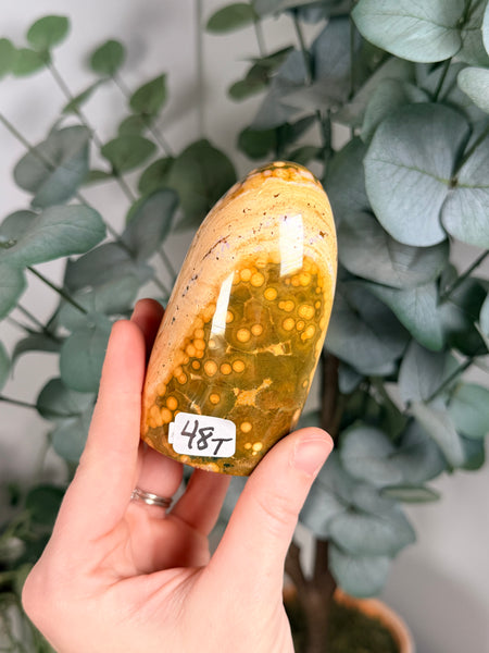 Kabamby Ocean Jasper Free Forms - you pick