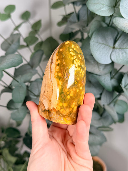 Kabamby Ocean Jasper Free Forms - you pick