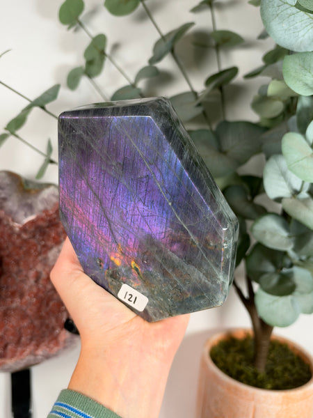 Labradorite Free Form - 121