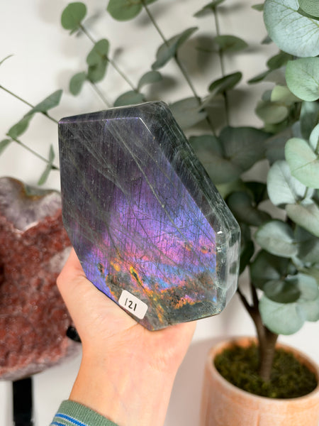 Labradorite Free Form - 121