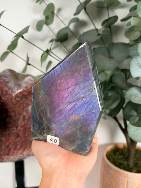 Labradorite Free Form - 90