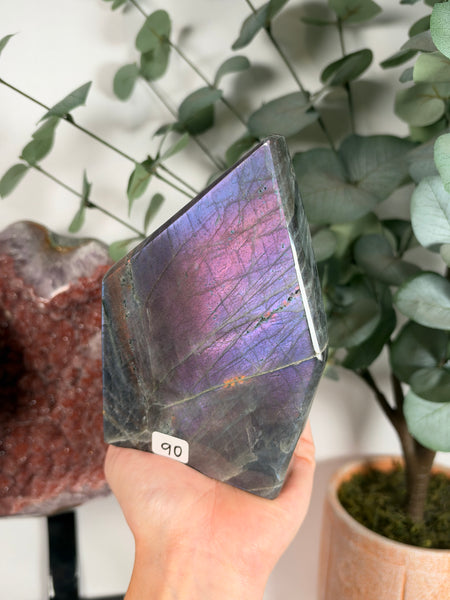 Labradorite Free Form - 90