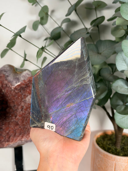 Labradorite Free Form - 90