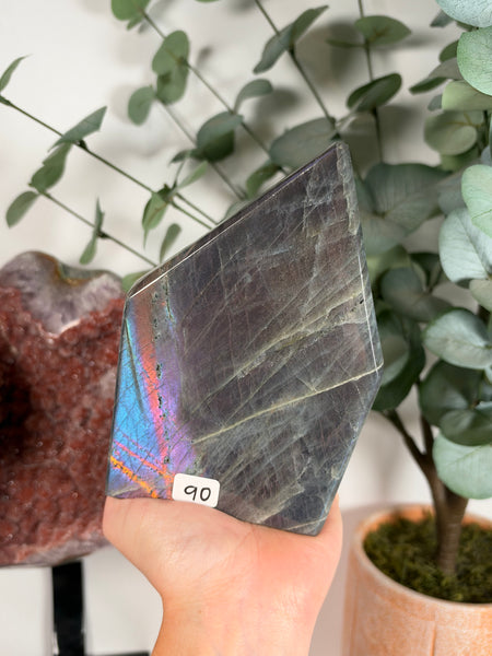 Labradorite Free Form - 90