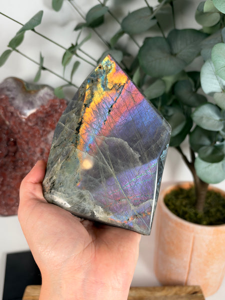 Labradorite Free Form - 90