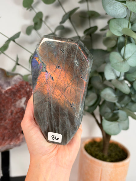 Labradorite Free Form - 86