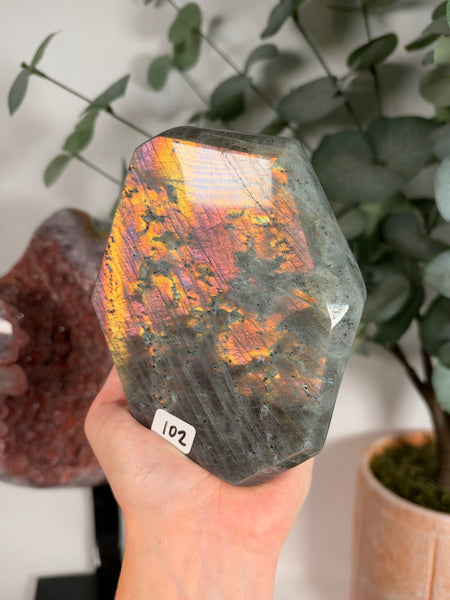 Labradorite Free Form - 102