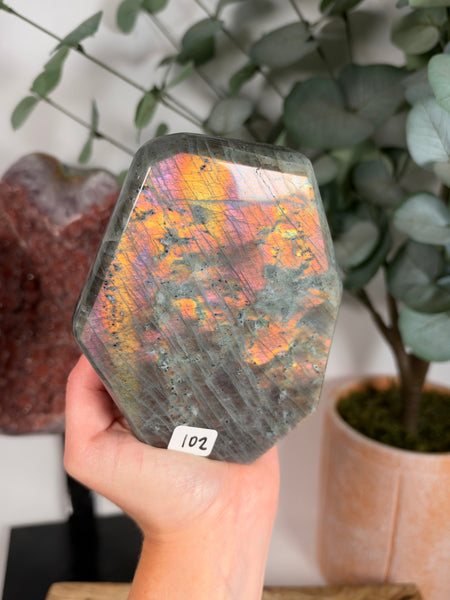 Labradorite Free Form - 102