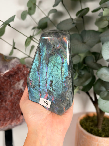Labradorite Free Form - 78
