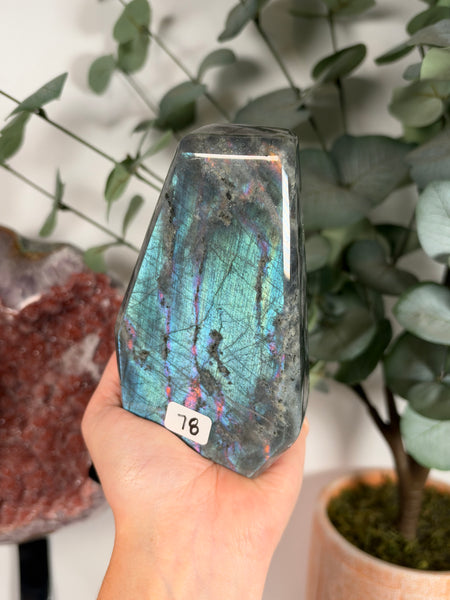 Labradorite Free Form - 78