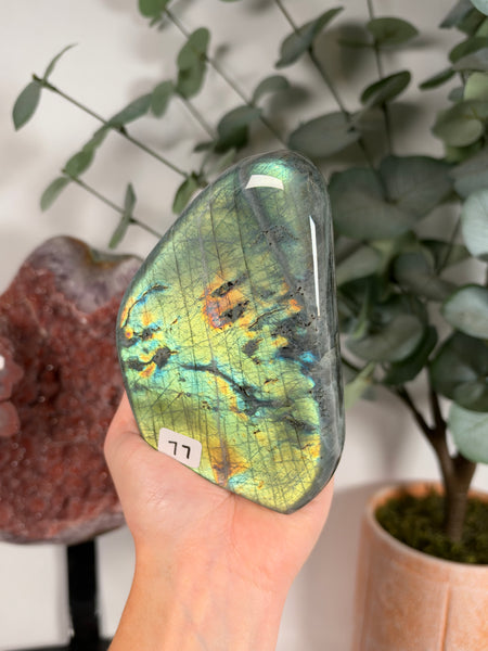 Labradorite Free Form - 77