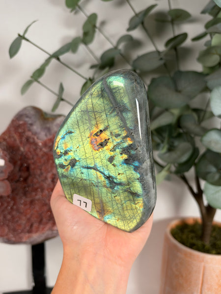 Labradorite Free Form - 77