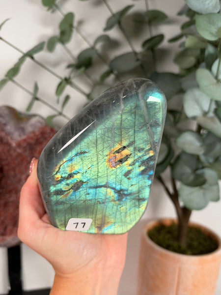 Labradorite Free Form - 77