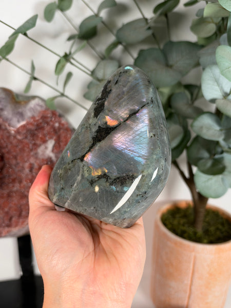 Labradorite Free Form - 77
