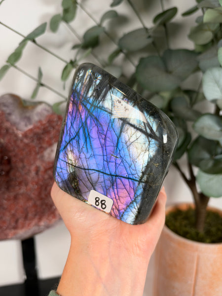 Labradorite Free Form - 88
