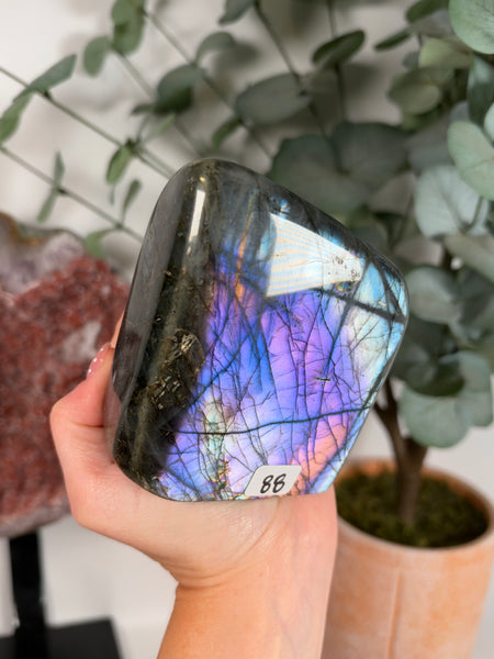 Labradorite Free Form - 88
