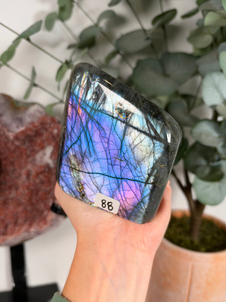 Labradorite Free Form - 88