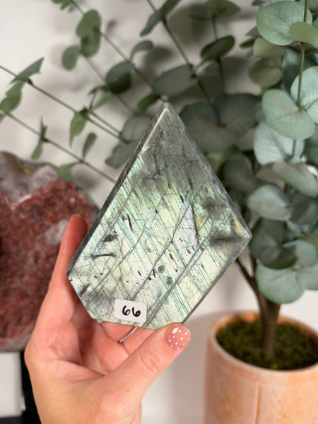 Labradorite Free Form - 66