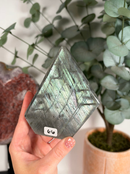Labradorite Free Form - 66