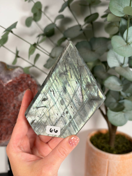Labradorite Free Form - 66