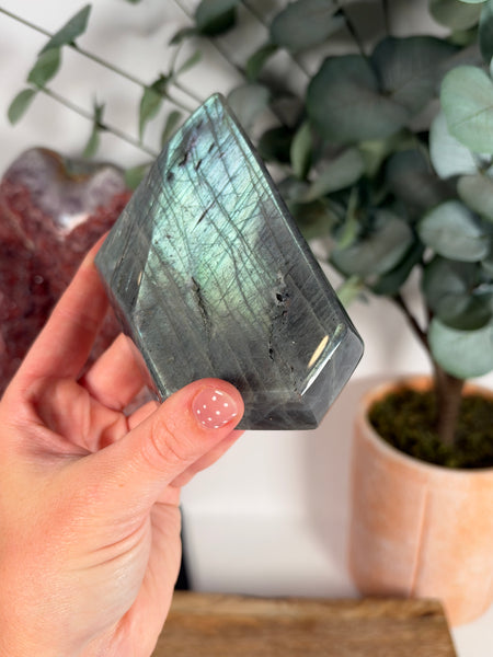 Labradorite Free Form - 66