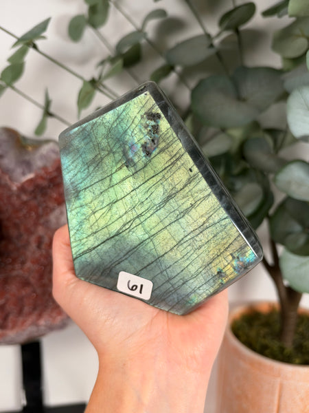 Labradorite Free Form - 61