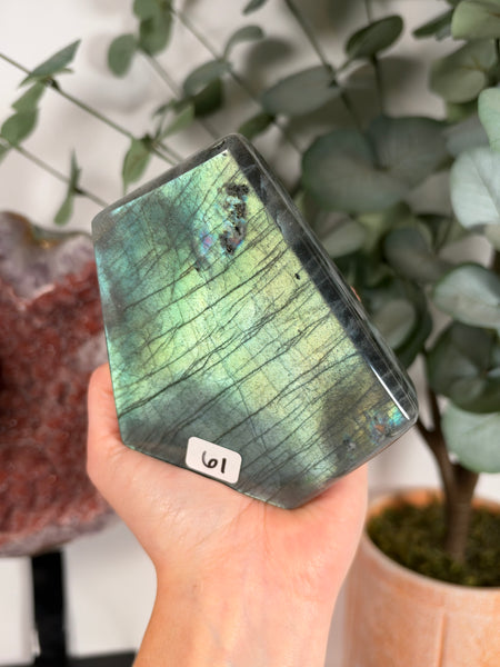 Labradorite Free Form - 61