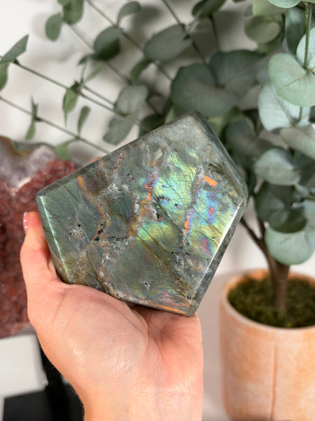 Labradorite Free Form - 61