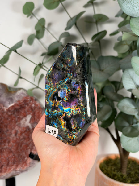 Labradorite Free Form - 61A