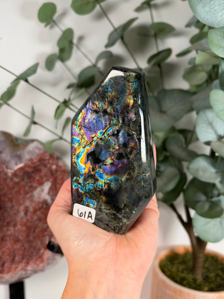 Labradorite Free Form - 61A