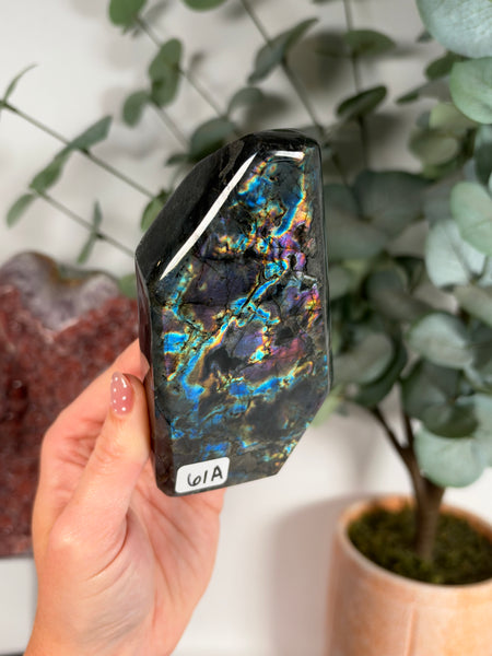 Labradorite Free Form - 61A