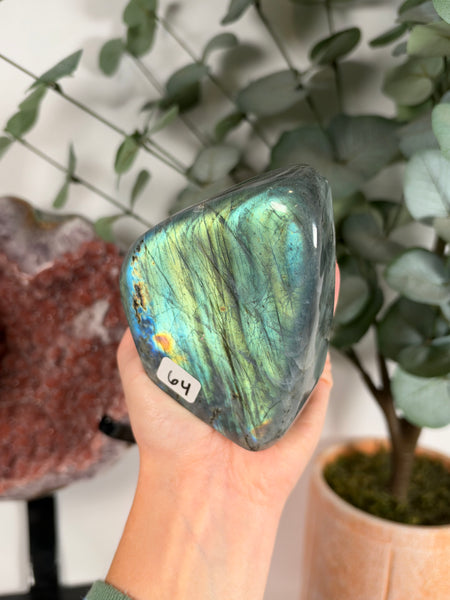 Labradorite Free Form - 64