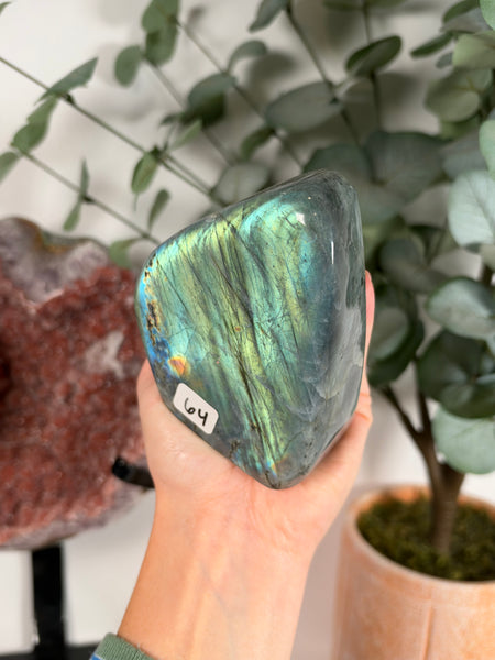 Labradorite Free Form - 64