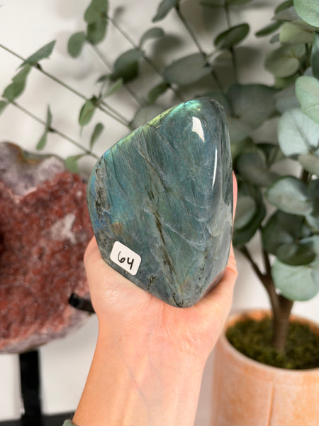 Labradorite Free Form - 64