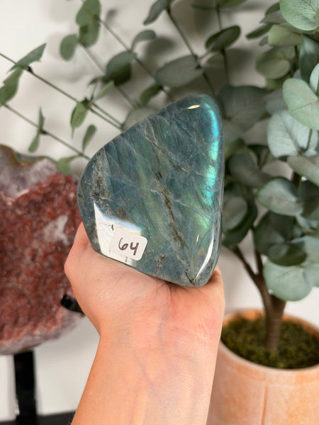 Labradorite Free Form - 64