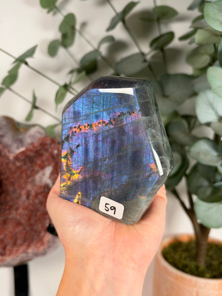 Labradorite Free Form - 59