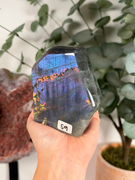 Labradorite Free Form - 59