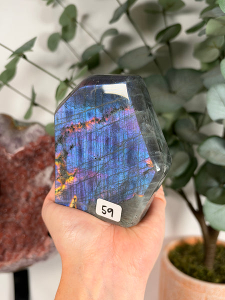 Labradorite Free Form - 59